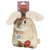 Territory Flopper Rabbit Inner Water Bottle Crunch and Flapping Chew Dog Toy - 9 Inches
