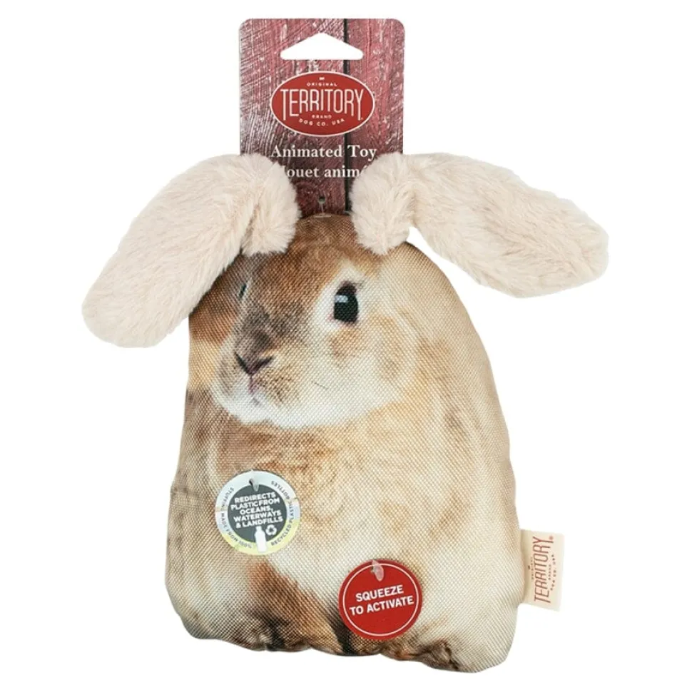 Territory Flopper Rabbit Inner Water Bottle Crunch and Flapping Chew Dog Toy - 9 Inches