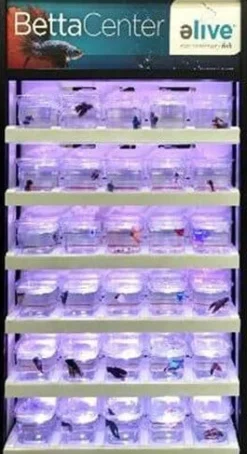 Tetra Betta Center Fixture - 30 Cup