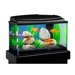 Tetra Goldfish LED Aquarium Kit Aquatics Starter Kits - 10 Gal - 20 X 10 X 12