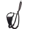 The Company of Animals Halti No Pull Dog Harness - Large
