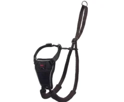 The Company of Animals Halti No Pull Dog Harness - Large