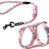 Touchcat 'Radi-Claw' Durable Cable Cat Harness and Leash Combo