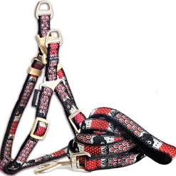 Touchdog 'Owl-Eyed' Tough Stitched Dog Harness and Leash