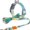 Touchdog ®'Trendzy' 2-in-1 Matching Fashion Designer Printed Dog Leash and Collar