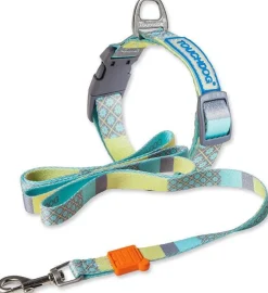 Touchdog ®'Trendzy' 2-in-1 Matching Fashion Designer Printed Dog Leash and Collar