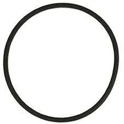 Two Little Fishies O-Ring for Phosban Reactor 150