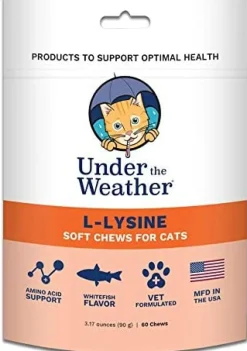 Under the Weather L-Lysine Chewy Cat Supplements - 60 Count
