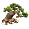 Underwater Treasures Ancient Bonsai Wood - Small
