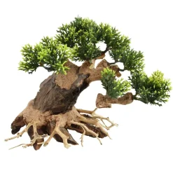 Underwater Treasures Ancient Bonsai Wood - Small