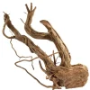 Underwater Treasures Azalea Wood - S Shape - Medium