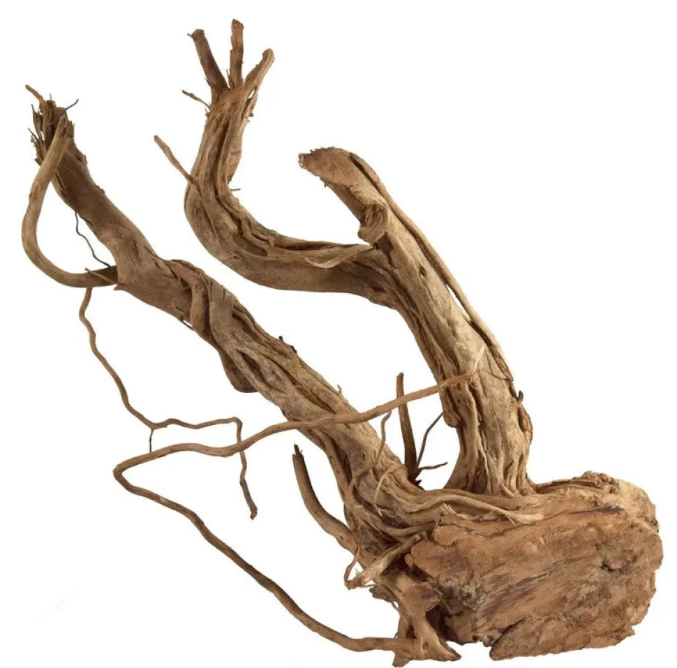 Underwater Treasures Azalea Wood - S Shape - Medium
