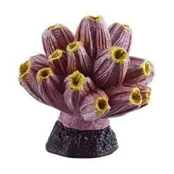 Underwater Treasures Barnacle - Purple/Yellow