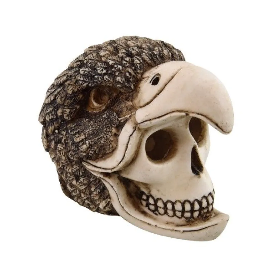 Underwater Treasures Birdman Skull