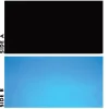 Underwater Treasures Black/Blue Reversible Background - 20" - Sold by the Foot - 50 Feet