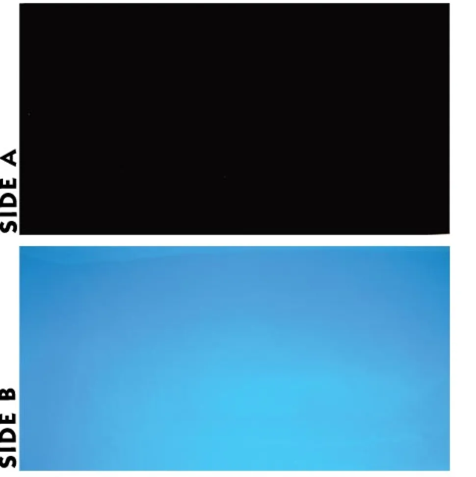 Underwater Treasures Black/Blue Reversible Background - 20" - Sold by the Foot - 50 Feet