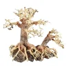 Underwater Treasures Bonsai Wood With Rock - Small
