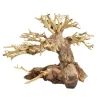 Underwater Treasures Bonsai Wood - Small