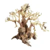 Underwater Treasures Bonsai Wood With Plant - Large