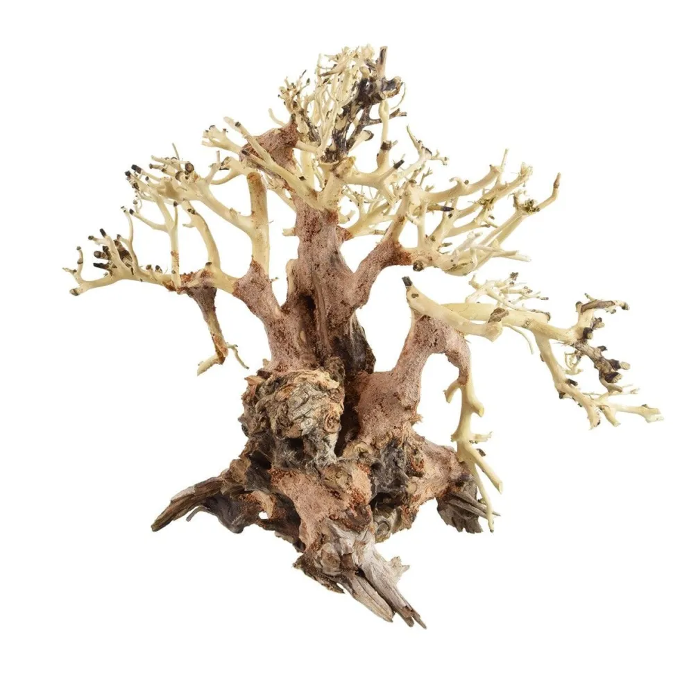 Underwater Treasures Bonsai Wood With Plant - Large
