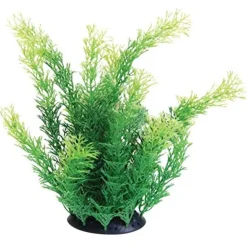 Underwater Treasures Cabomba - 10"
