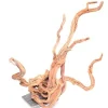 Underwater Treasures Cholla Wood - Large