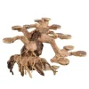 Underwater Treasures Copper Wood - Medium - Pack of 2