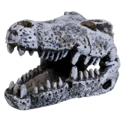Underwater Treasures Crocodile Skull - Mini