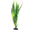 Underwater Treasures Cryptocoryne Balansae - 16"