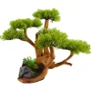 Underwater Treasures Designer Bonsai Tree