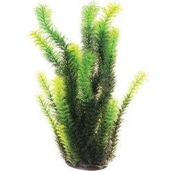 Underwater Treasures Diandra - 16"