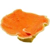 Underwater Treasures Dinner Plate Coral - Orange
