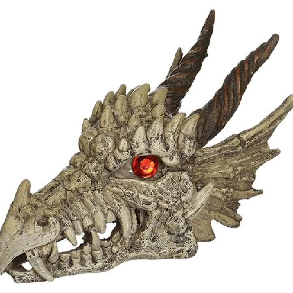 Underwater Treasures Dragon Skull