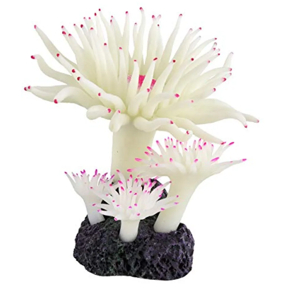 Underwater Treasures Duncan Coral - Snow White