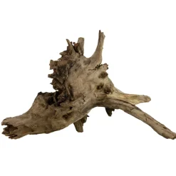 Underwater Treasures Eucalyptus Root - Large
