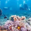 Underwater Treasures Fiji Reef - B