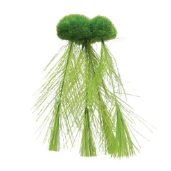 Underwater Treasures Floating Moss with Feather Roots - Small