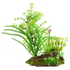 Underwater Treasures Flowering Plants