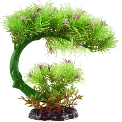 Underwater Treasures Flowering Bonsai