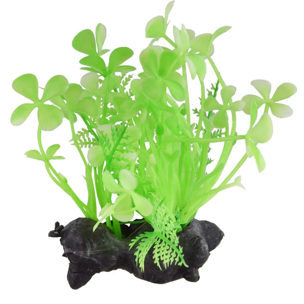 Underwater Treasures Foregrounder - Green
