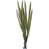 Underwater Treasures Giant Kelp - 40"