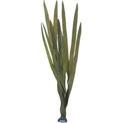 Underwater Treasures Giant Kelp - 40"