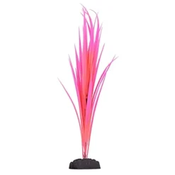 Underwater Treasures Glow Sagittaria - Pink