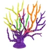 Underwater Treasures Gorgonian - Rainbow