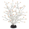 Underwater Treasures Gorgonian - White