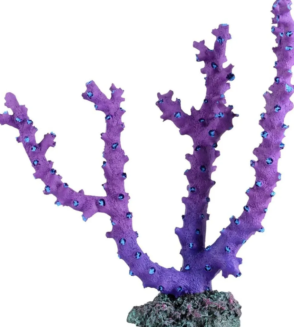 Underwater Treasures Gorgonian - Purple