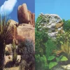 Underwater Treasures Grassy Peaks/Green Abyss Reversible Background - 20" - Sold by the Foot - 50 Feet