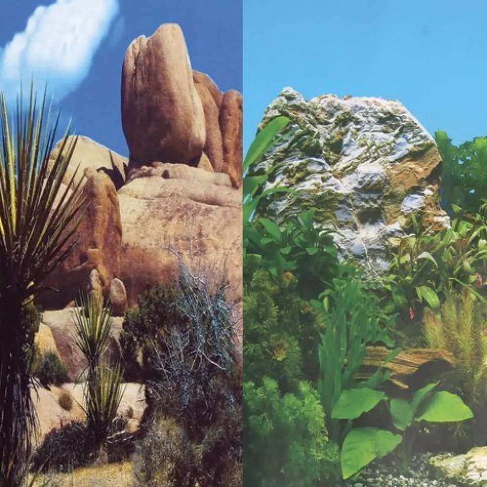 Underwater Treasures Grassy Peaks/Green Abyss Reversible Background - 20" - Sold by the Foot - 50 Feet