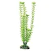 Underwater Treasures Green Cabomba - 12"