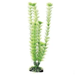 Underwater Treasures Green Cabomba - 12"